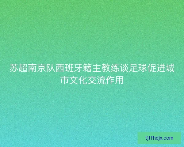 苏超南京队西班牙籍主教练谈足球促进城市文化交流作用
