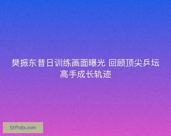 樊振东昔日训练画面曝光 回顾顶尖乒坛高手成长轨迹